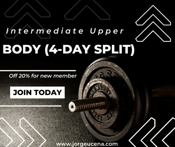 Intermediate Upper Body (4-Day Split)