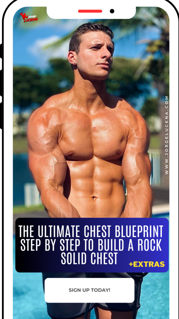 The Ultimate Chest Blueprint Step By Step To Build a Hard Rock Solid Chest 🔥